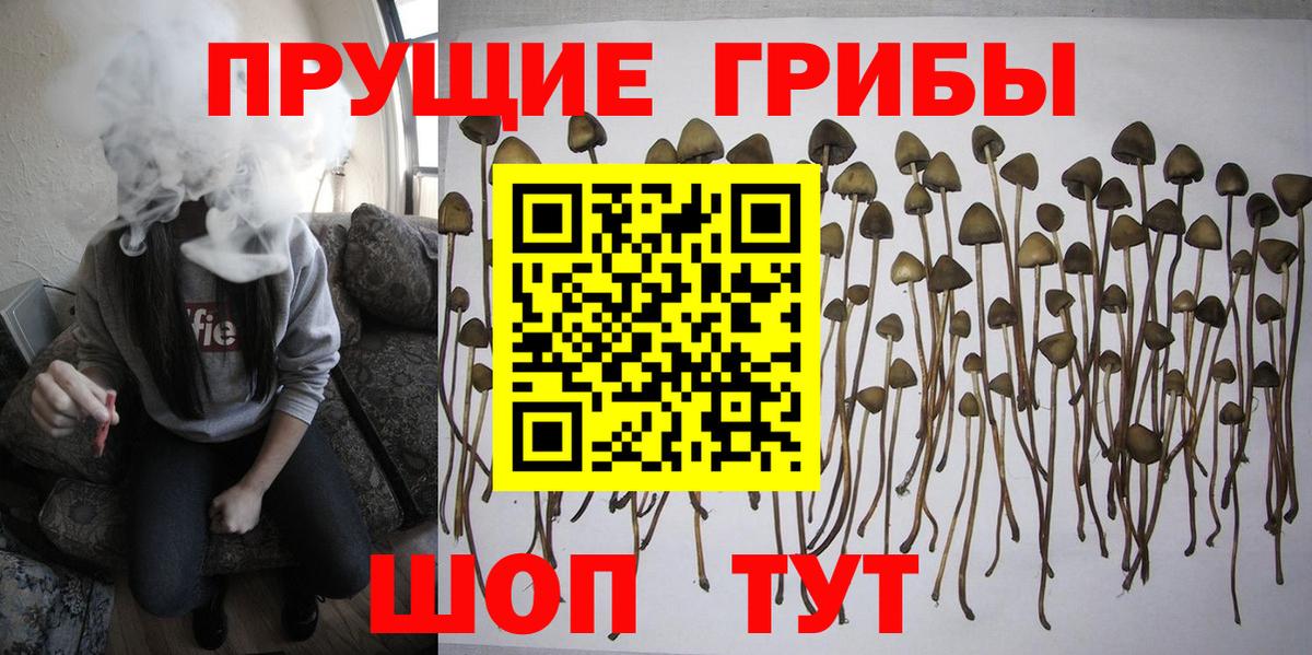 где найти   Псилоцибиновые грибы MAGIC MUSHROOMS  Надым  Вход с VPN  Галлюциногенные грибы мухоморы 